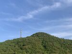 青山