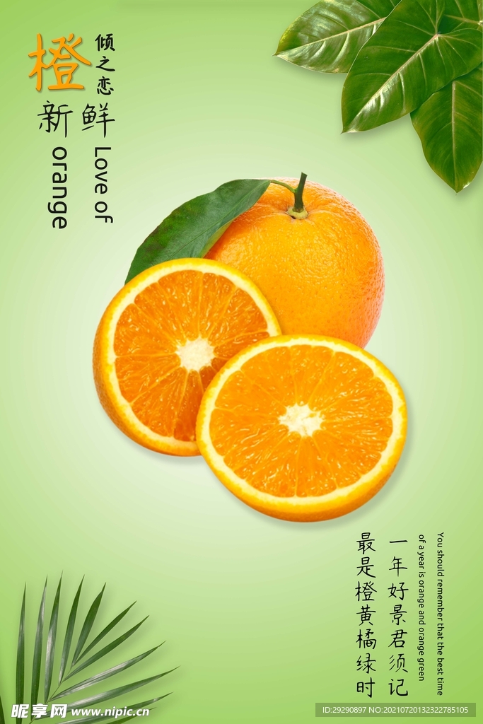 橙子海报