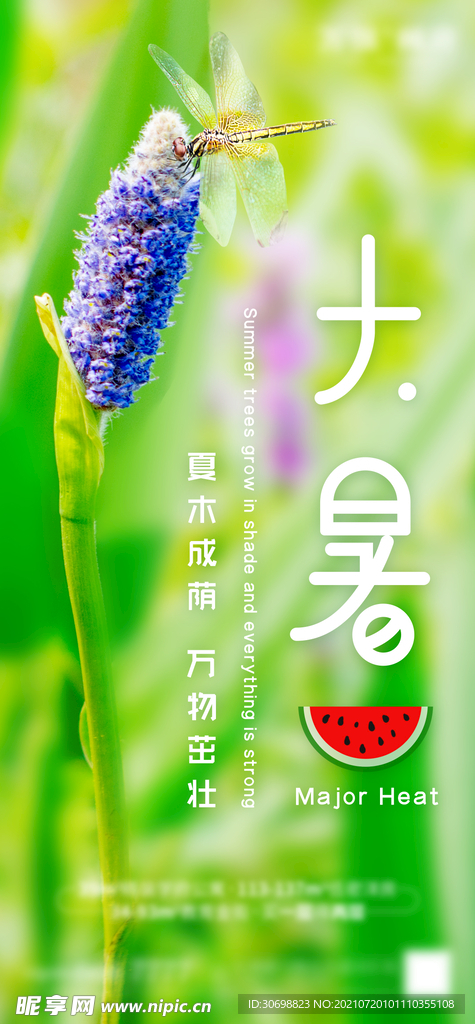 大暑 节气 夏天