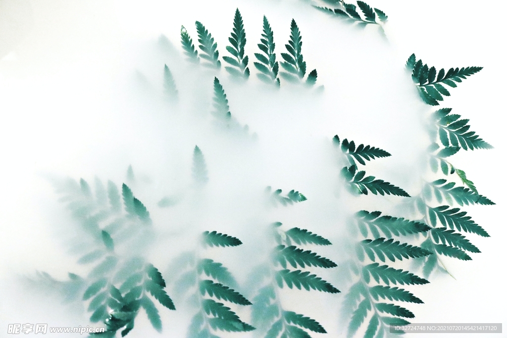 植物背景
