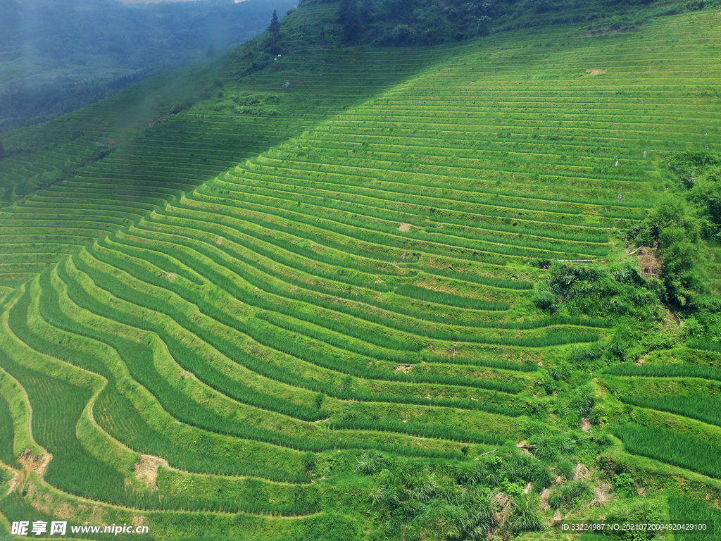 桂林山水之龙脊梯田