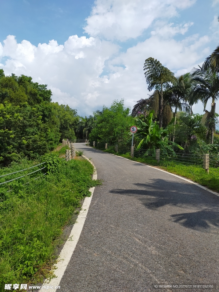 道路
