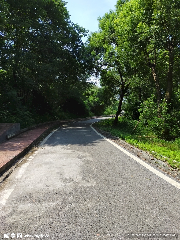 道路