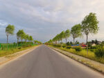 美丽的乡村道路风景
