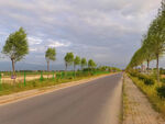 美丽的乡村道路风景