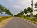 美丽的乡村道路风景