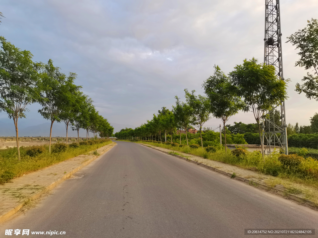 美丽的乡村道路风景