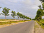 美丽的乡村道路风景
