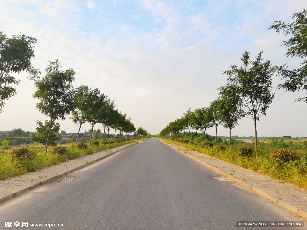 美丽的乡村道路风景