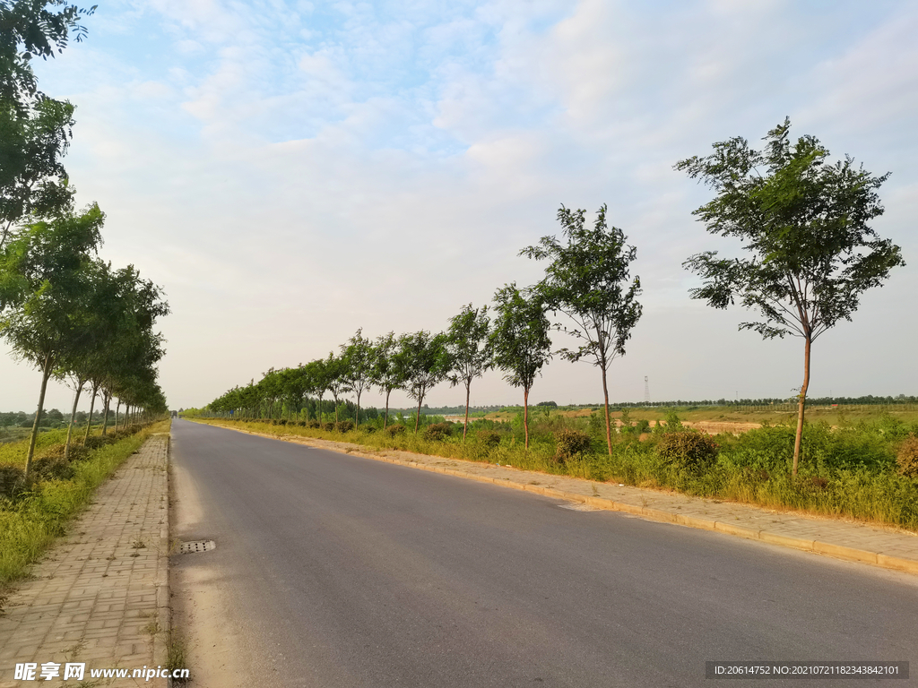 美丽的乡村道路风景