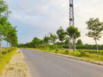 美丽的乡村道路风景