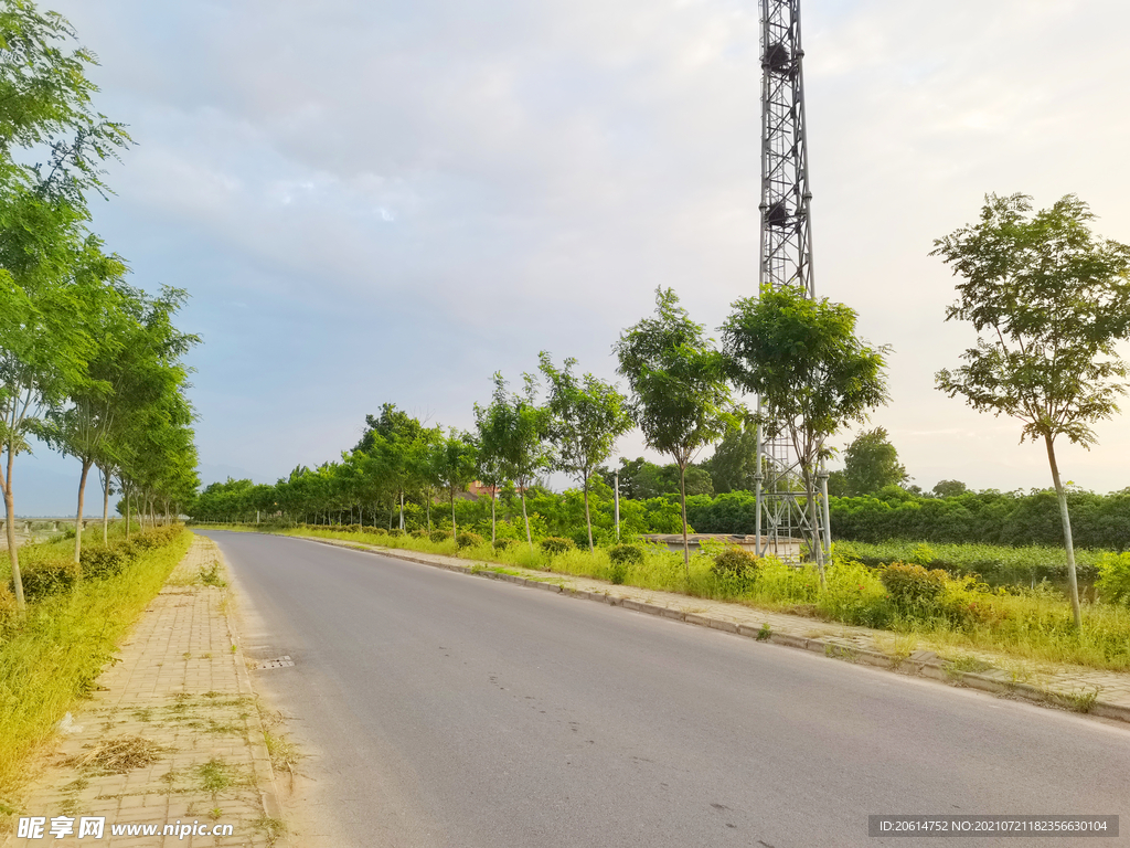 美丽的乡村道路风景