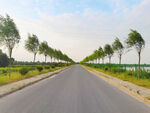 美丽的乡村道路风景