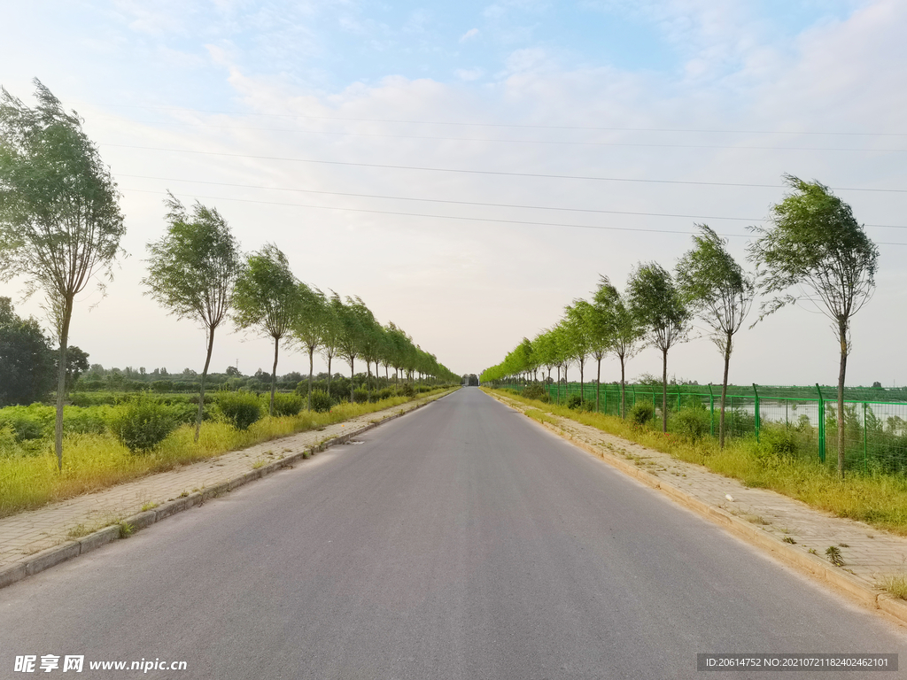 美丽的乡村道路风景