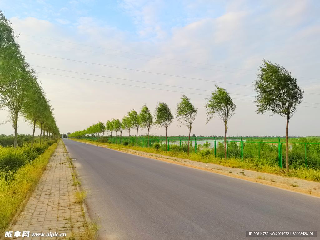 美丽的乡村道路风景