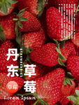 草莓