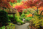 花园花圃