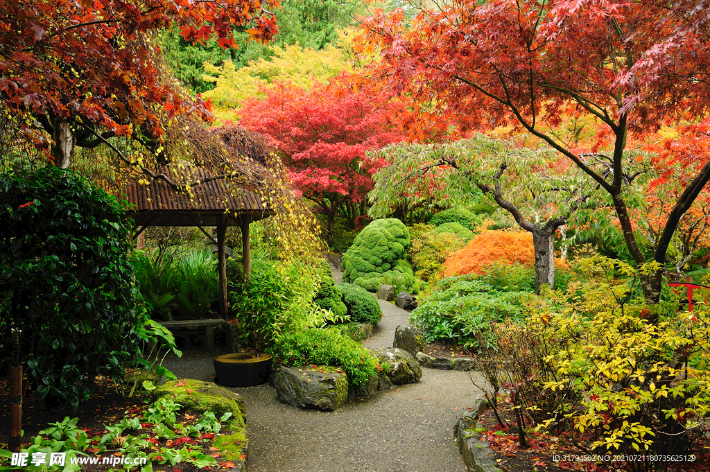 花园花圃