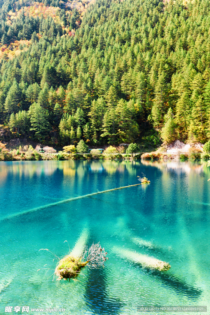 绿水青山