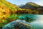 绿水青山