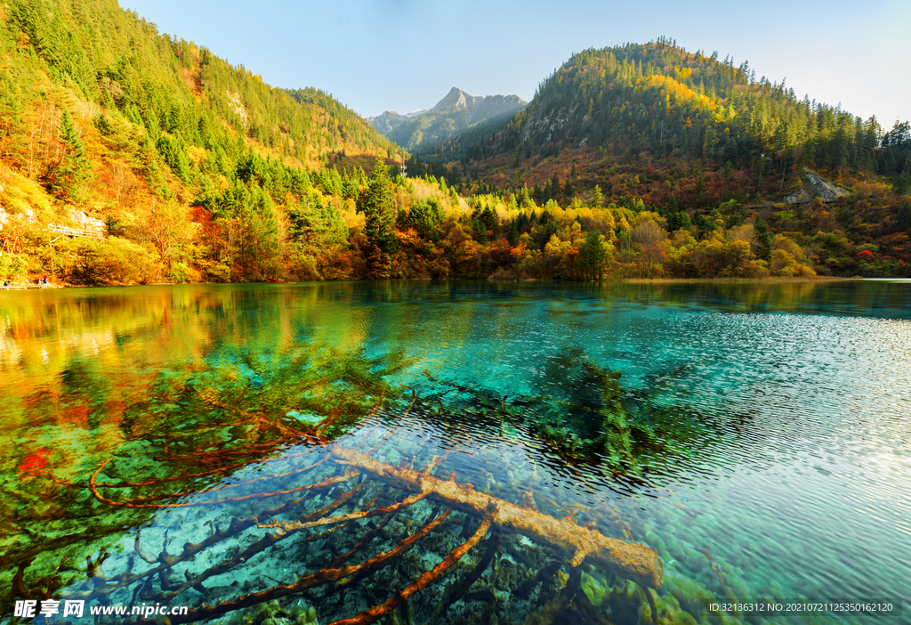 绿水青山
