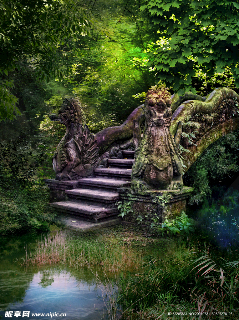 梦幻森林