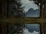梦幻森林