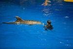 水族馆
