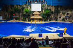 水族馆