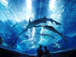 水族馆