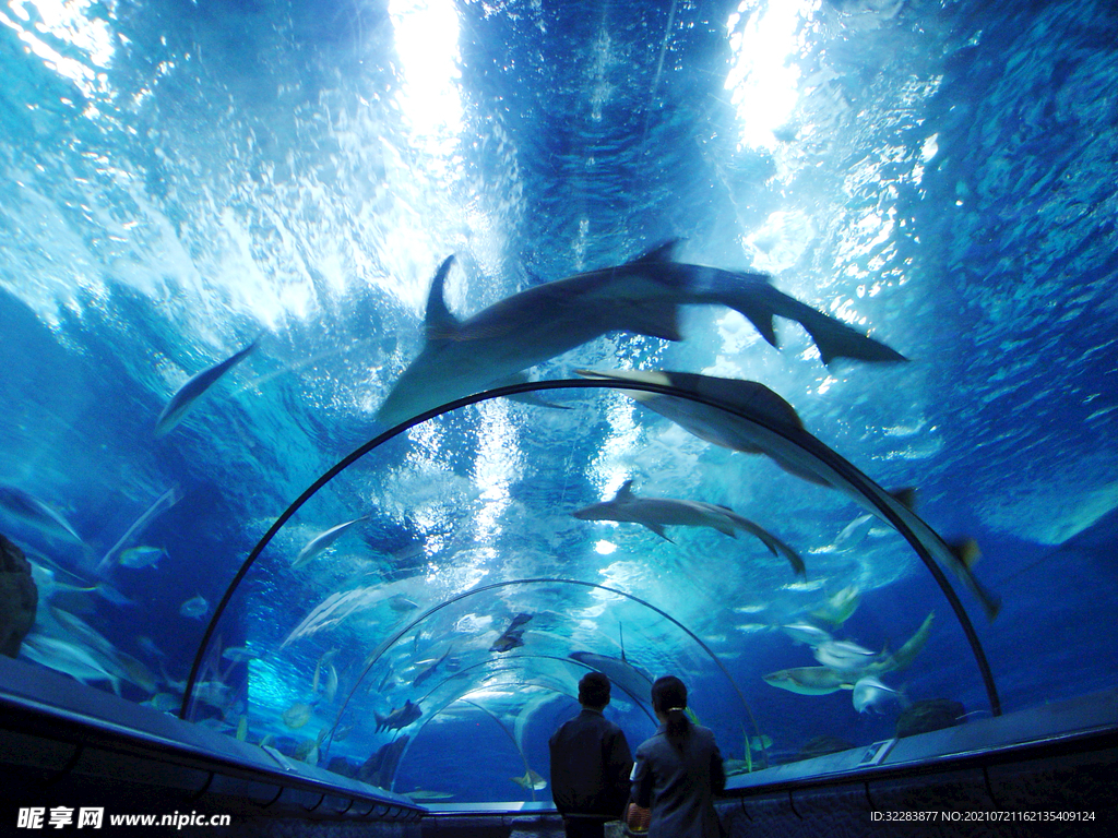 水族馆