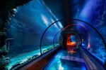 水族馆