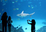 水族馆