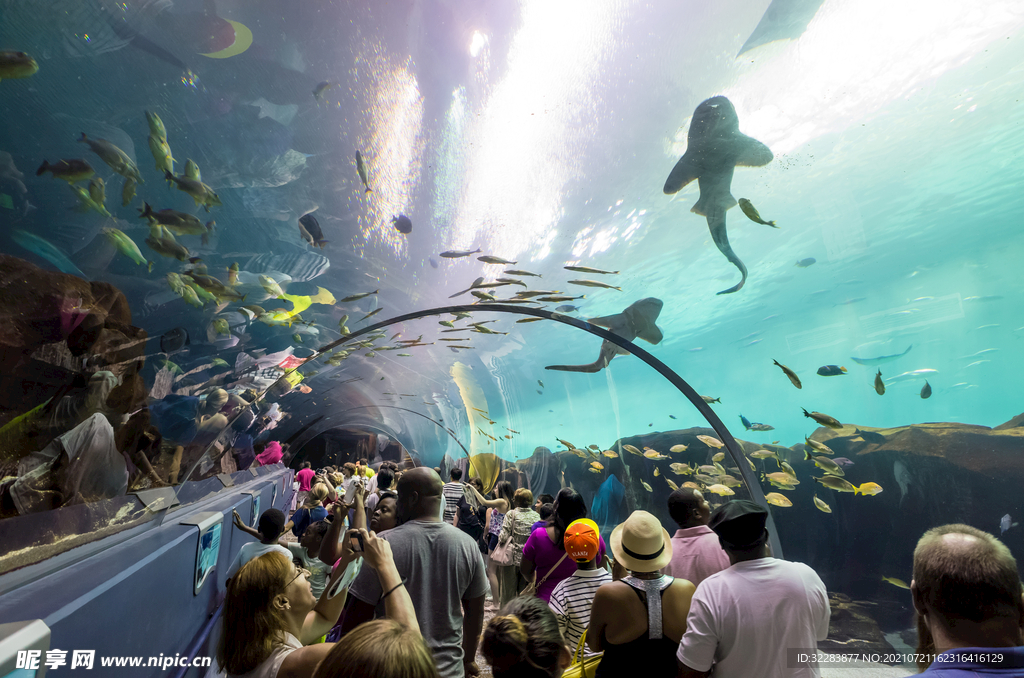 水族馆