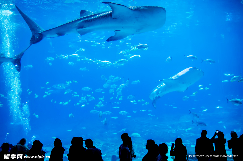 水族馆