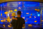 水族馆