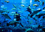 水族馆