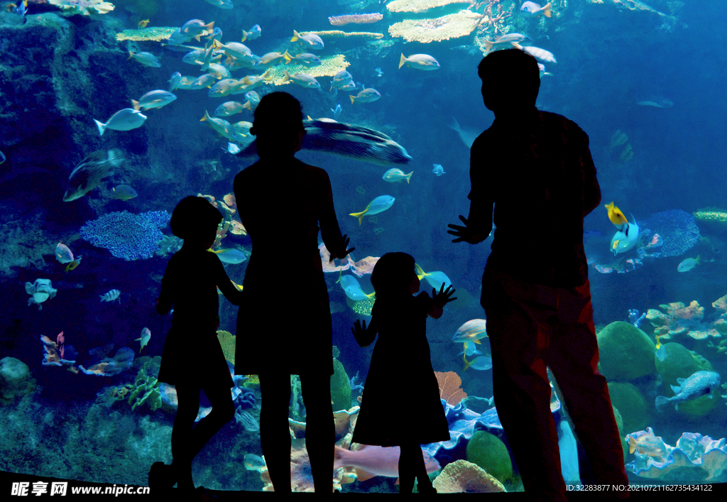 水族馆