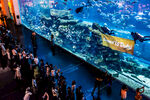 水族馆