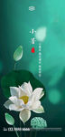 节气  