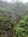 云落兰花谷雨后山林