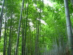 自然风景摄影