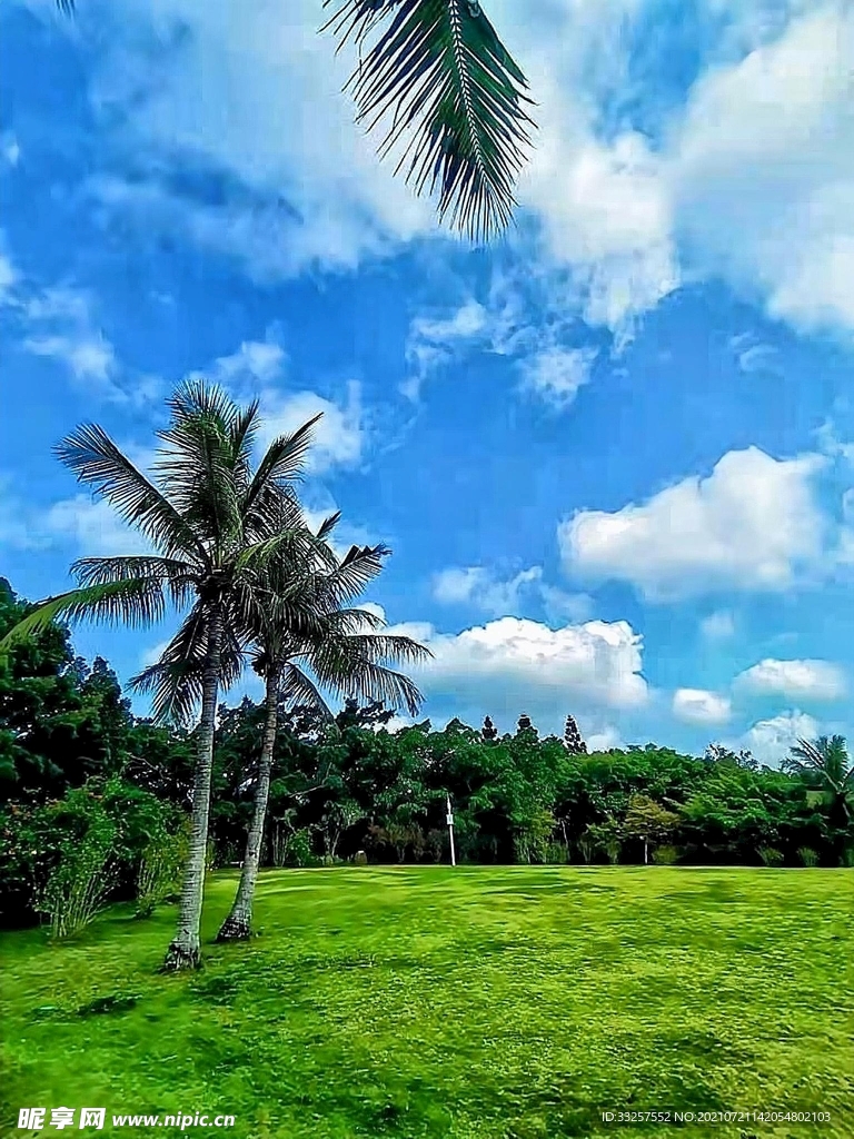 夏季白云绿植图