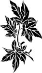 黑白手绘植物    