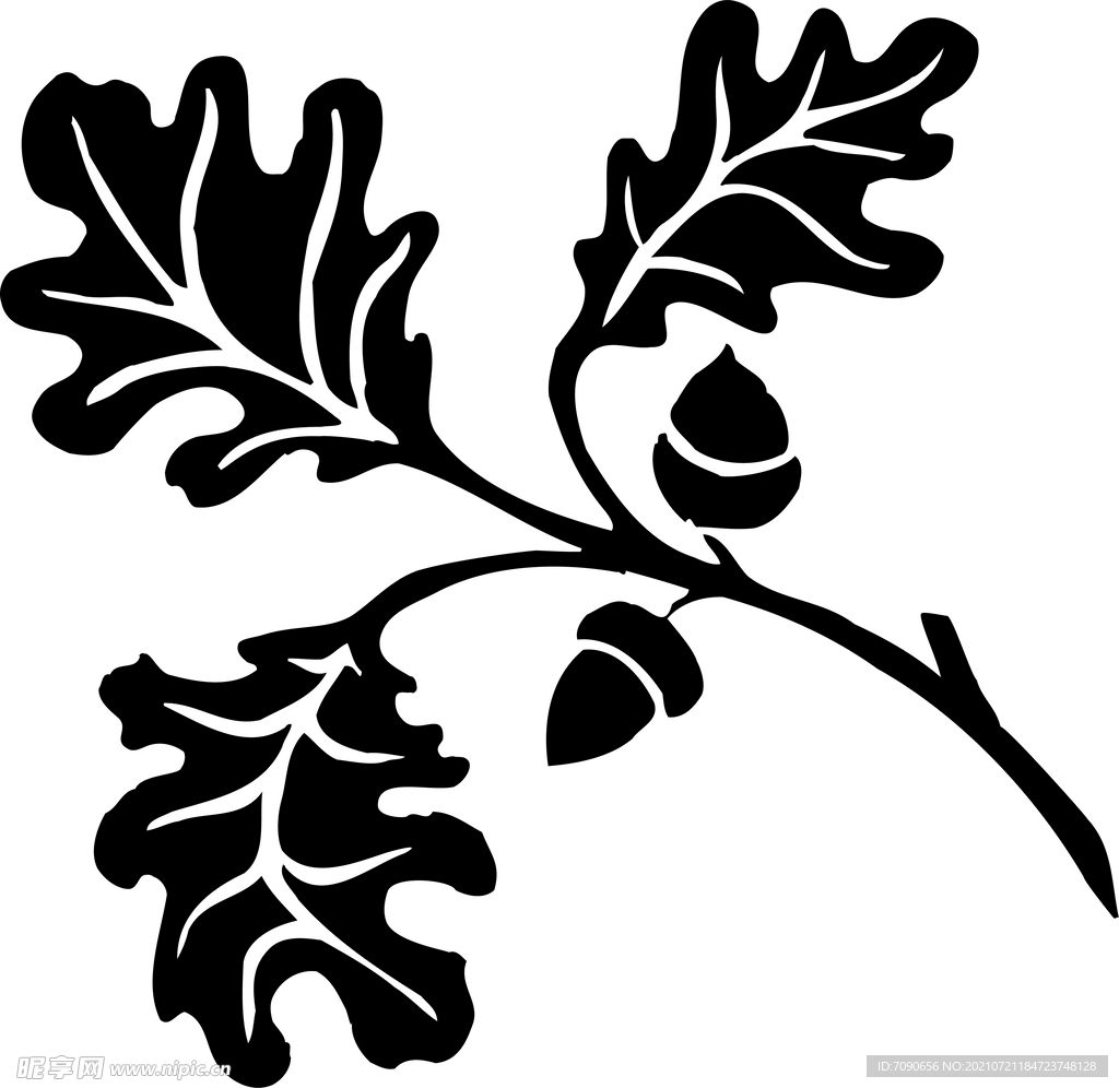 黑白手绘植物    