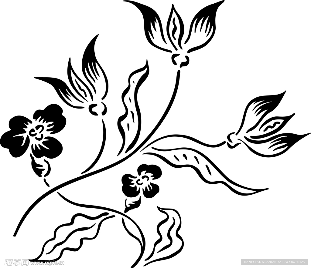 黑白手绘植物    