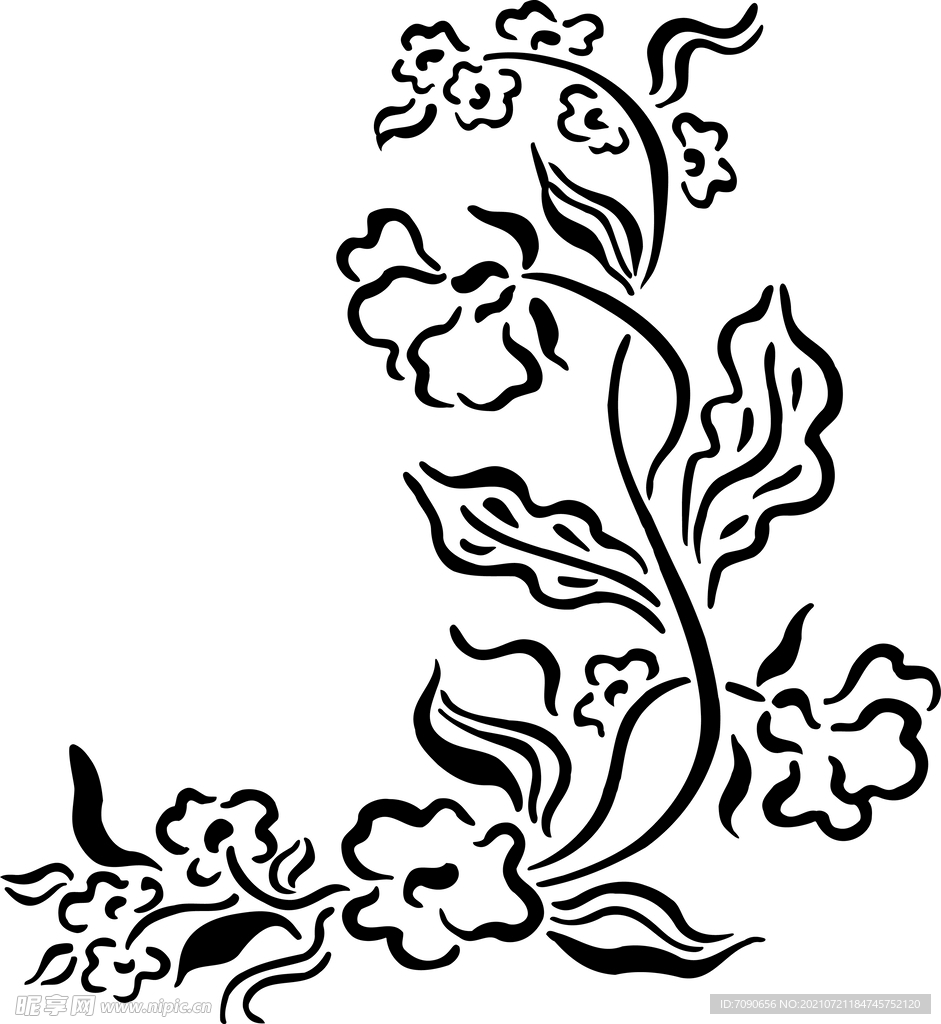 黑白手绘植物    