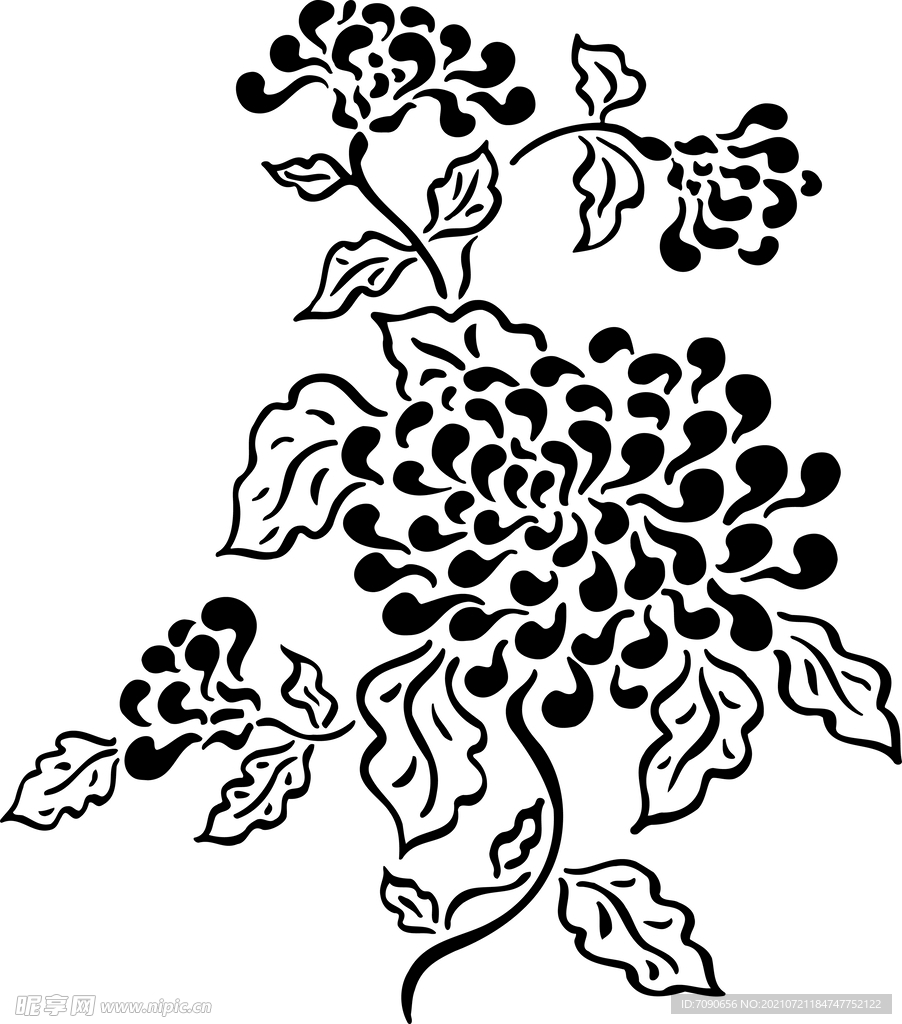 黑白手绘植物    