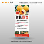 水果黄桃展架
