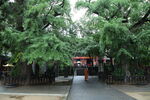嵩山法王寺